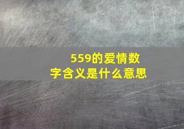 559的爱情数字含义是什么意思