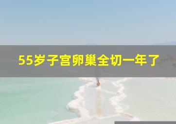 55岁子宫卵巢全切一年了