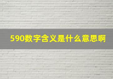 590数字含义是什么意思啊