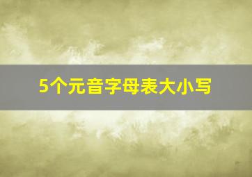 5个元音字母表大小写