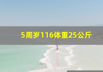 5周岁116体重25公斤