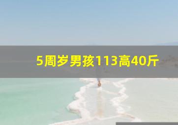 5周岁男孩113高40斤