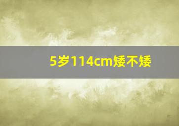 5岁114cm矮不矮