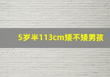 5岁半113cm矮不矮男孩