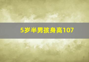 5岁半男孩身高107