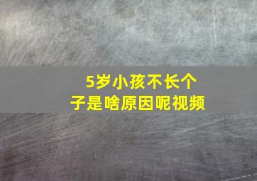 5岁小孩不长个子是啥原因呢视频