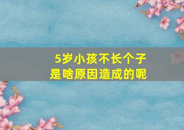 5岁小孩不长个子是啥原因造成的呢