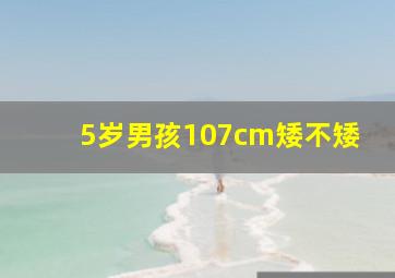 5岁男孩107cm矮不矮