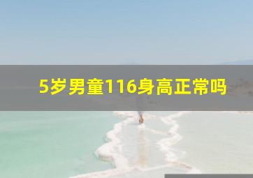 5岁男童116身高正常吗