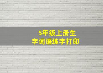 5年级上册生字词语练字打印