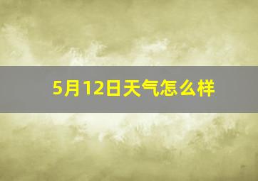 5月12日天气怎么样