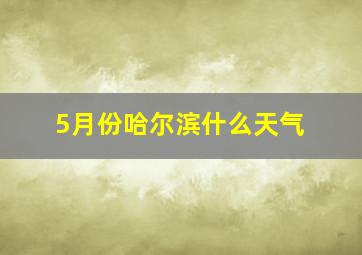 5月份哈尔滨什么天气