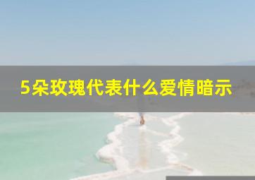 5朵玫瑰代表什么爱情暗示