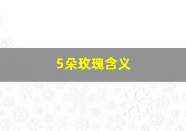 5朵玫瑰含义