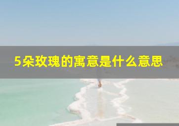 5朵玫瑰的寓意是什么意思