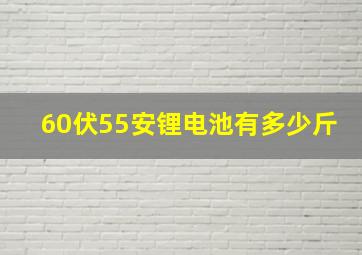 60伏55安锂电池有多少斤