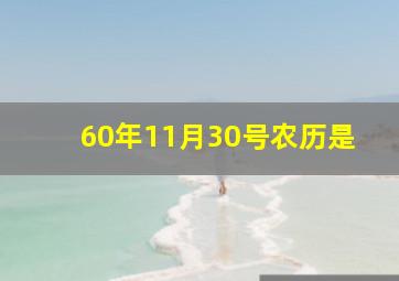 60年11月30号农历是