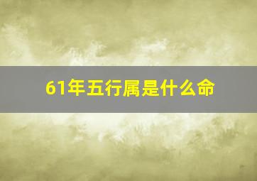 61年五行属是什么命