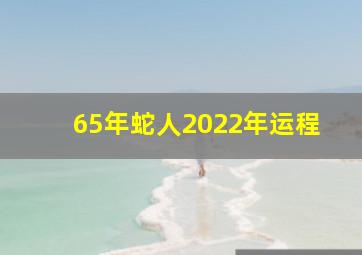 65年蛇人2022年运程