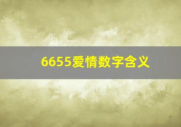 6655爱情数字含义