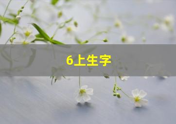 6上生字