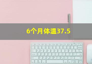 6个月体温37.5