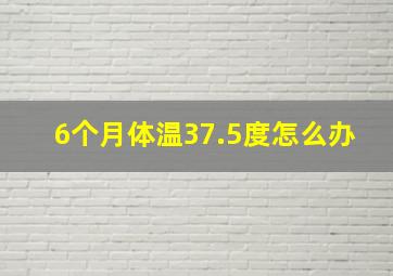 6个月体温37.5度怎么办