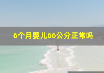 6个月婴儿66公分正常吗