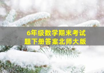 6年级数学期末考试题下册答案北师大版