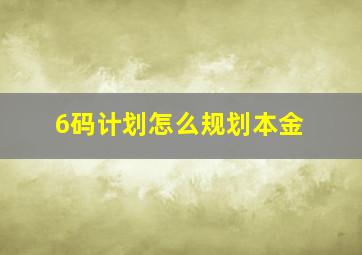 6码计划怎么规划本金