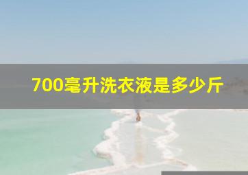 700毫升洗衣液是多少斤