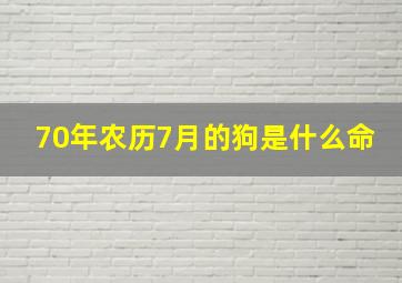 70年农历7月的狗是什么命