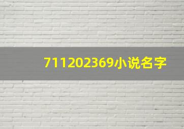 711202369小说名字