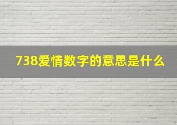 738爱情数字的意思是什么