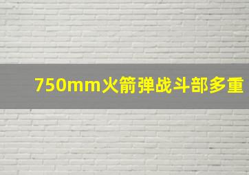 750mm火箭弹战斗部多重