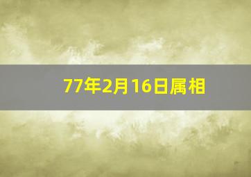 77年2月16日属相