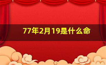 77年2月19是什么命