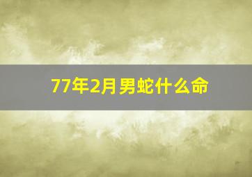 77年2月男蛇什么命