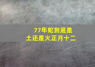 77年蛇到底是土还是火正月十二