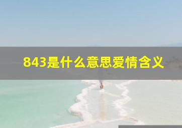 843是什么意思爱情含义