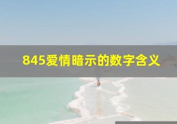 845爱情暗示的数字含义