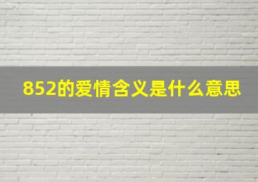 852的爱情含义是什么意思