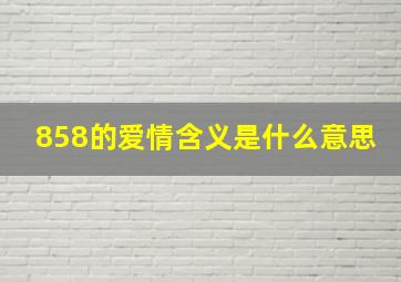 858的爱情含义是什么意思