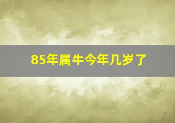 85年属牛今年几岁了