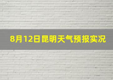 8月12日昆明天气预报实况