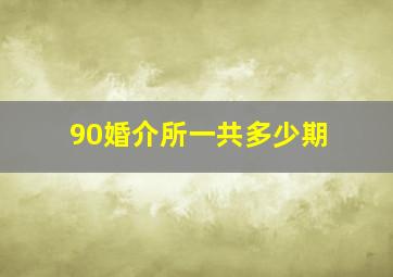 90婚介所一共多少期