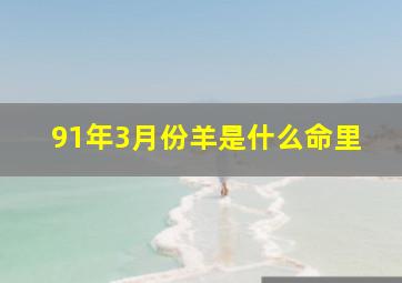 91年3月份羊是什么命里