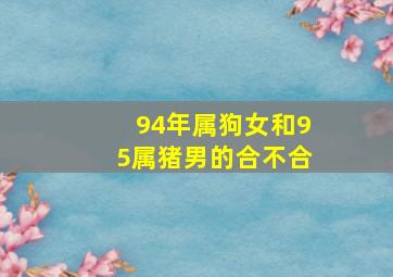 94年属狗女和95属猪男的合不合