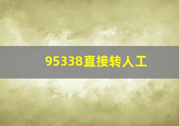 95338直接转人工