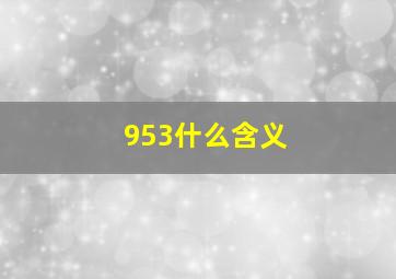 953什么含义